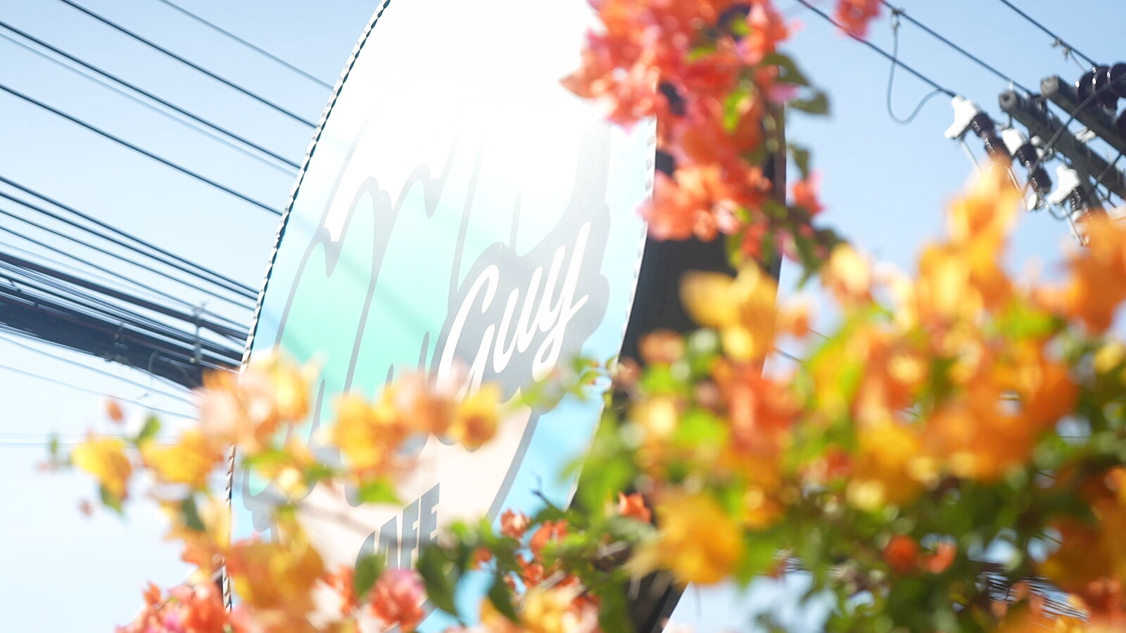 The MMA Guy Cafe sign framed by bougainvillea in Chalong, Phuket