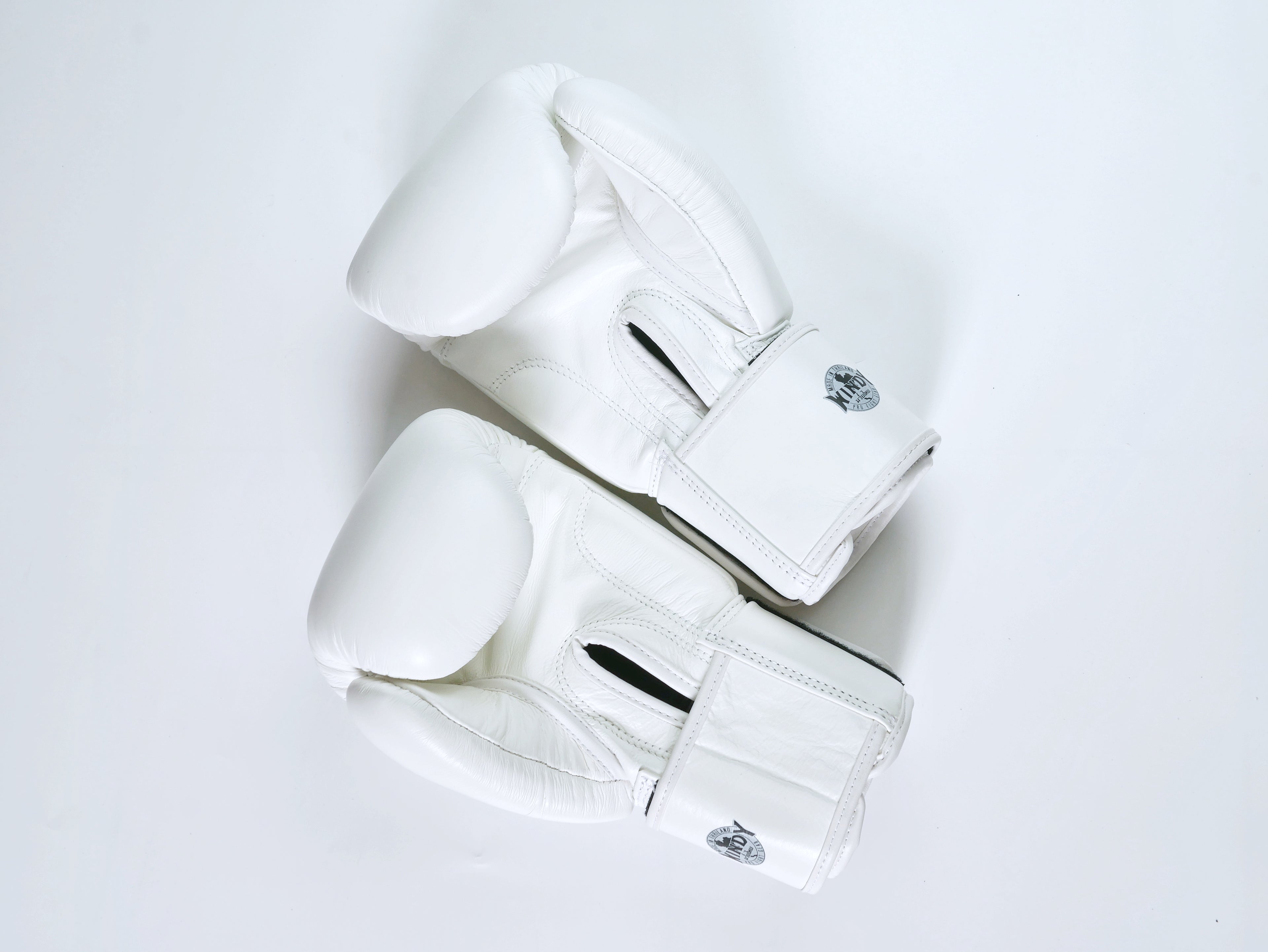 Windy Boxing Gloves Velcro White — pair view