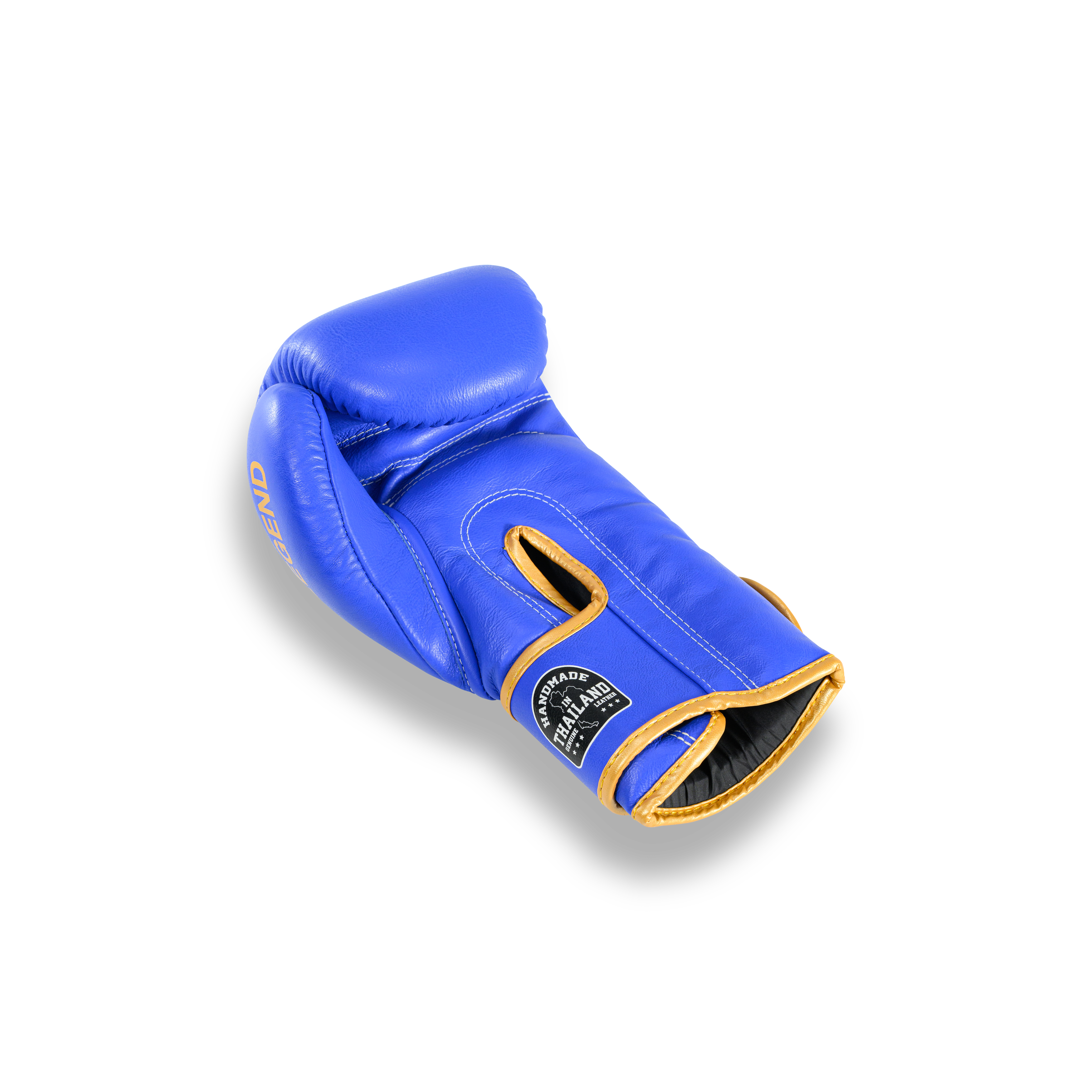 Blegend Boxing Gloves BGR Blue