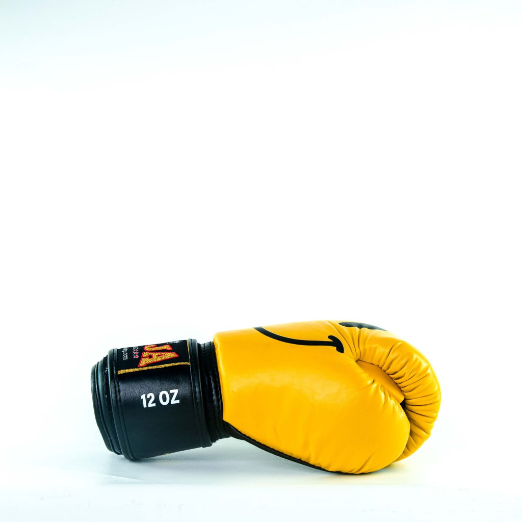RAJA Boxing Gloves Smile (Leather)