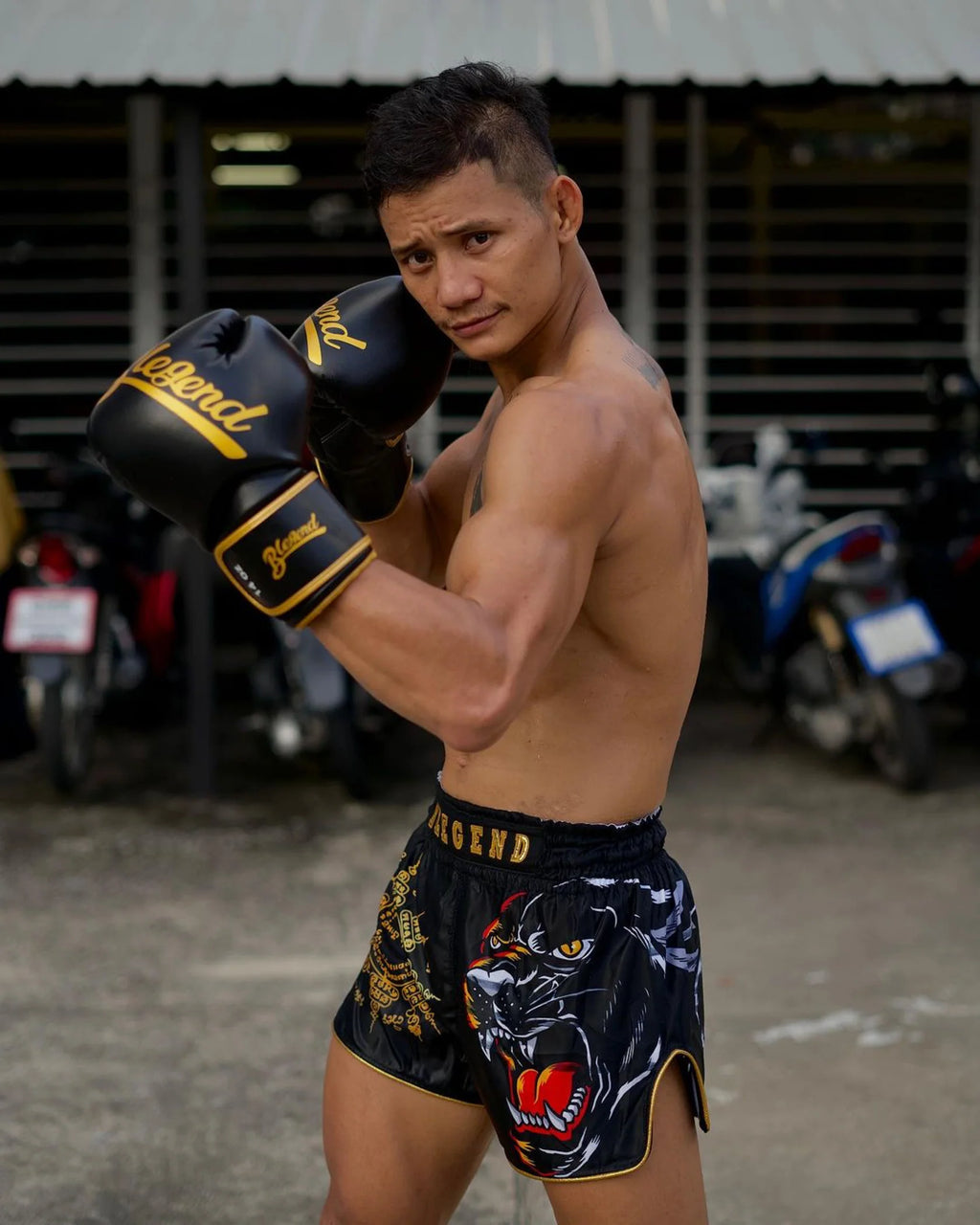Black and gold Legend boxing gloves with Blegend Black Tiger Shorts