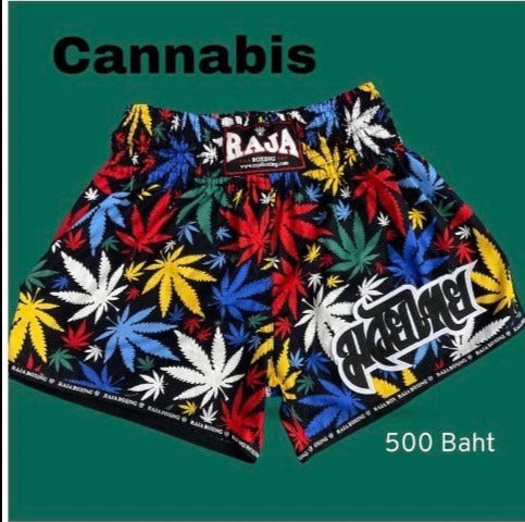 Raja Shorts Cannabis Color Full — fight gear in Phuket (Chalong) | MMAGuy