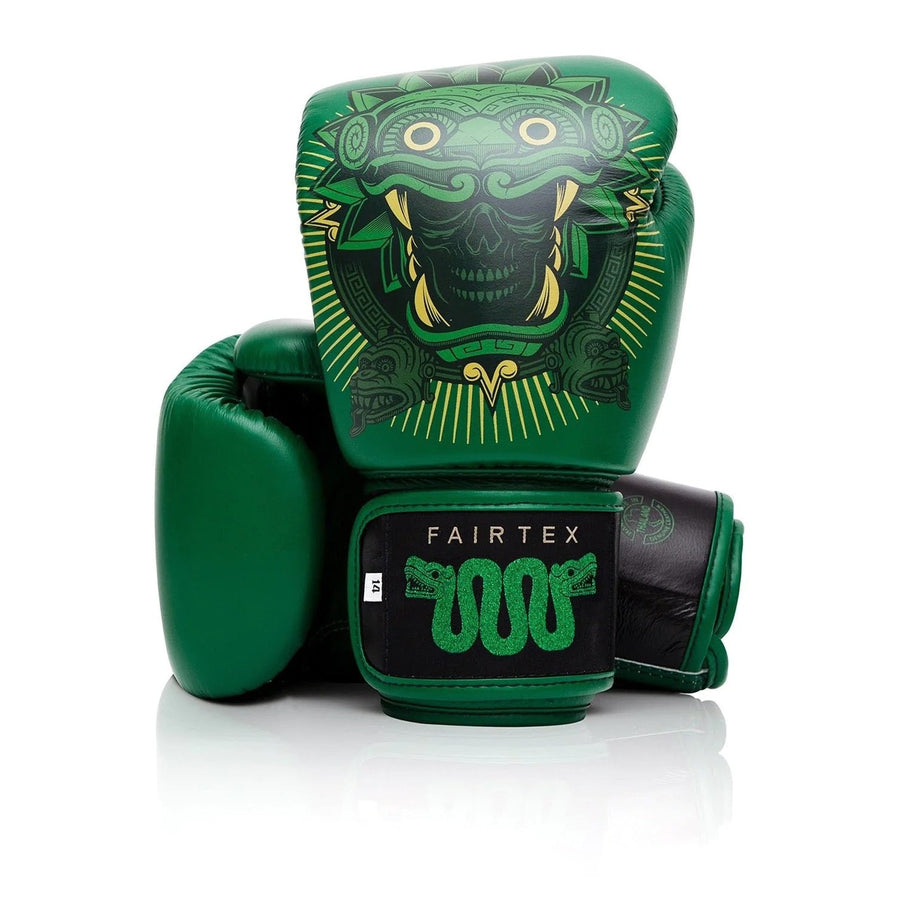 Fairtex Boxing Gloves BGV Premium Resurrection